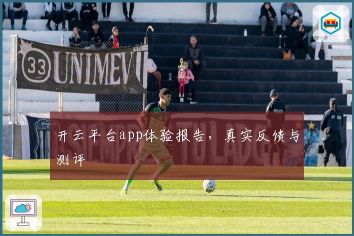 开云平台app体验报告，真实反馈与测评