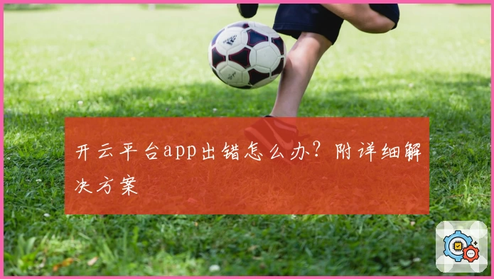 开云平台app出错怎么办？附详细解决方案