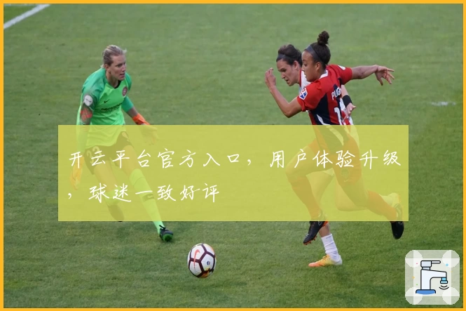 开云平台官方入口，用户体验升级，球迷一致好评