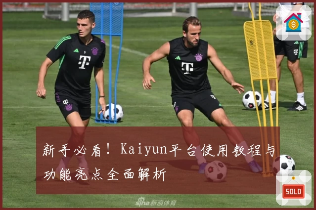 新手必看！Kaiyun平台使用教程与功能亮点全面解析