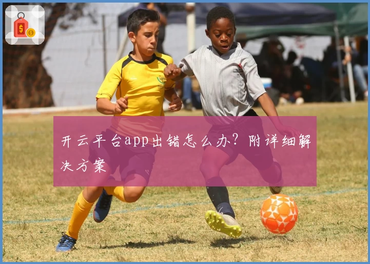 开云平台app出错怎么办？附详细解决方案